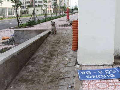 Hoang tàn siêu dự án tái định cư Bình Khánh, TP.HCM