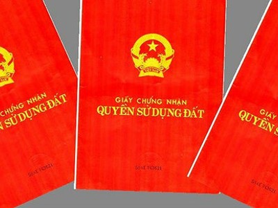 Đà Nẵng: Đình chỉ công tác Giám đốc Chi nhánh Văn phòng đăng ký đất đai quận Sơn Trà