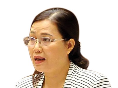 Bà Đỗ Thị Lan, Ủy viên thường trực Ủy ban về Các vấn đề xã hội của Quốc hội.