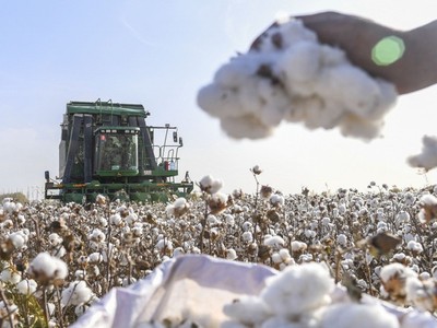 Việt Nam nhập khẩu khoảng 800.000 tấn bông nguyên liệu từ thị trường Mỹ mỗi năm để cung cấp cho ngành kéo sợi