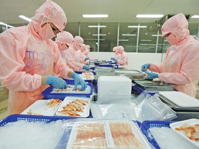 EVFTA đang tạo nhiều cơ hội cho nông, thủy sản xuất khẩu của Việt Nam. Trong ảnh: Chế biến tôm xuất khẩu tại Công ty Thủy sản Hồng Ngọc (Phú Yên). Ảnh: Đ.T