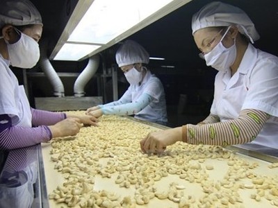 Nông sản Việt Nam đang lọt vào tầm ngắm của nhiều nhà nhập khẩu lớn trên thế giới.