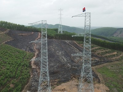 Tổng giám đốc EVNNPT đốc tiến độ đường dây 500 kV mạch 3