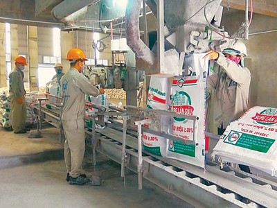 Bóc tách chuyện Hóa chất Đức Giang (DGC) sống nhờ… nguồn sữa của con