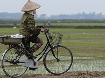 Sẽ sớm có quy định cụ thể về các phương thức tập trung, tích tụ đất nông nghiệp - (Ảnh minh hoạ)