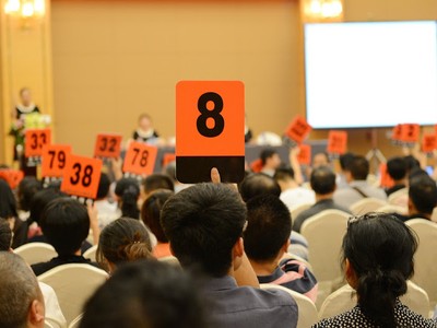 Thủ tướng Chính phủ chỉ thị tăng cường quản lý nhà nước đối với hoạt động đấu giá tài sản