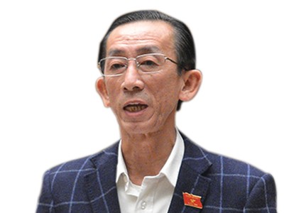 Đại biểu Trần Hoàng Ngân (TP.HCM), Ủy viên Ủy ban Kinh tế của Quốc hội.