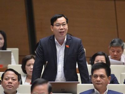 Đại biểu Đỗ Đức Hồng Hà chất vấn Tổng thanh tra Chính phủ.