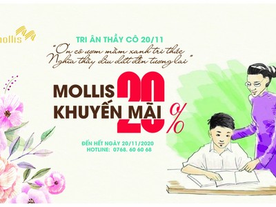 Mollis khuyến mãi mừng ngày Nhà Giáo Việt Nam 20/11