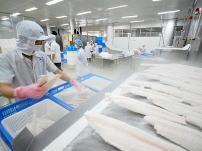 Thủ tướng Chính phủ Nguyễn Xuân Phúc chỉ đạo Bộ KH&CN khẩn trương sửa đổi quy định pháp luật về sử dụng mã số mã vạch.