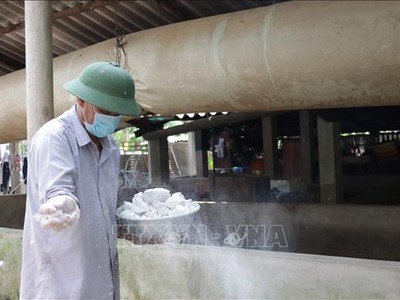 Người dân chủ động phun xịt thuốc sát trùng, rãi vôi vệ sinh chuồng trại để ngăn chặn dịch lở mồm long móng lây lan tại Bến Tre. Ảnh: Huỳnh Phúc Hậu/TTXVN 