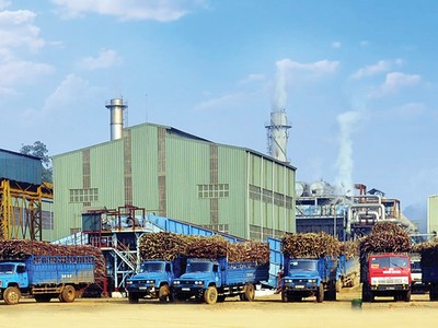 Lasuco nỗ lực thoát bóng đêm