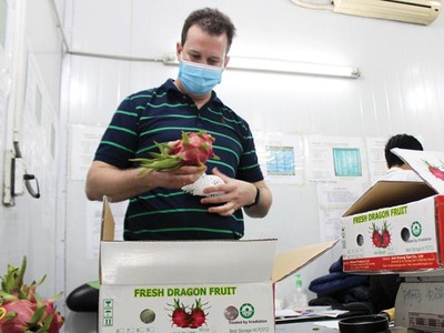 Một số mặt hàng hoa quả của Việt Nam được người tiêu dùng Mỹ đánh giá cao.