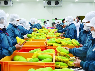 RCEP sẽ giúp mở cửa để Việt Nam nhập khẩu hàng hóa rẻ hơn, đặc biệt là các nguyên vật liệu đầu vào phục vụ sản xuất.
