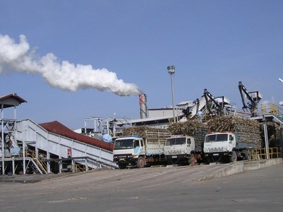 Theo VSSA, niên vụ mía đường 2020/2021 sẽ có thêm 4 nhà máy đường phải đóng cửa do không đảm bảo nguồn nguyên liệu, hoạt động không có hiệu quả.