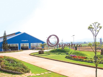 Vinamilk đạt giải nhất cho hạng mục Báo cáo Phát triển bền vững năm nay