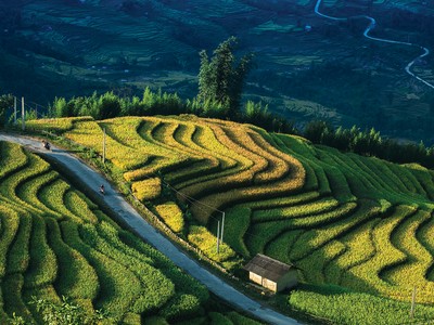 Chung tay kiến thiết tương lai xanh