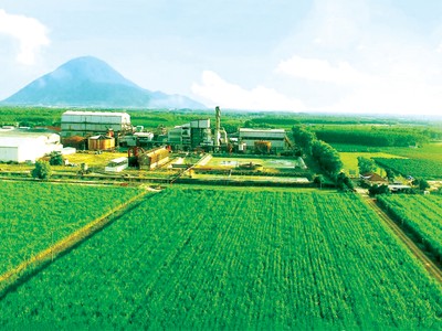 Dù ngành đường gặp rất nhiều khó khăn trong năm 2020, nhưng SBT vẫn có kết quả kinh doanh khả quan trong niên vụ 2019 - 2020 nhờ định hướng phát triển bền vững đề ra từ trước