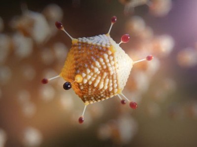 Dữ liệu đang được đệ trình để xem xét phê duyệt theo quy định