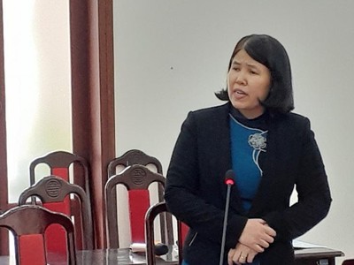 Bà Đặng Thị Thu Hoài, Trưởng ban Nghiên cứu kinh tế ngành và lĩnh vực của CIEM phát biểu tại Hội thảo.