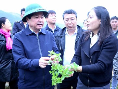 Thạch đen Lạng Sơn xuất khẩu chính ngạch sang Trung Quốc