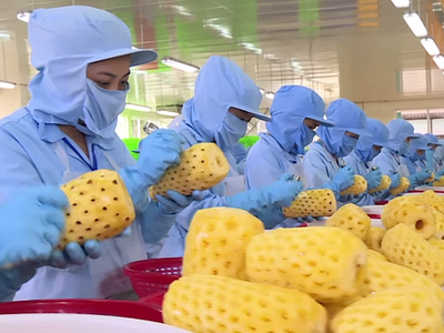 Doanh nghiệp xuất khẩu Việt Nam cần thực hiện nghiêm các quy định của Hàn Quốc về vệ sinh an toàn thực phẩm