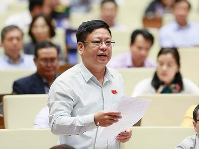 Việc đưa 3 luật về đầu tư, kinh doanh vào thi hành từ năm 2021 giúp nền kinh tế thêm sức bật. Trong ảnh: Ông Nguyễn Trường Giang, Phó chủ nhiệm Ủy ban Pháp luật của Quốc hội phát biểu tại nghị trường