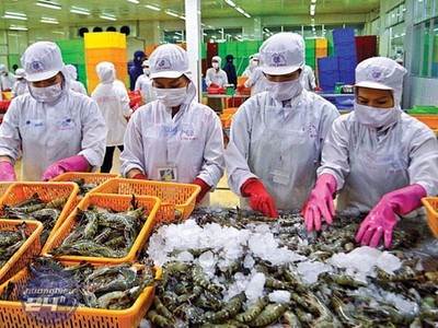 Anh một trong 10 thị trường nhập khẩu thủy sản lớn nhất của Việt Nam, thị phần thủy sản xuất khẩu của ta tại thị trường này năm 2020 đạt hơn 4% (năm 2015 đạt 1,03%).