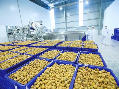 Dù chịu ảnh hưởng của dịch bệnh, nhưng đây là lúc để doanh nghiệp làm mới mình, tìm ra hướng đi phù hợp với nhu cầu thị trường