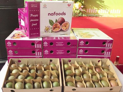 Xuất khẩu rau quả năm 2020 chịu ảnh hưởng lớn từ dịch bệnh khiến kim ngạch sụt giảm 13%, đạt 3,26 tỷ USD.