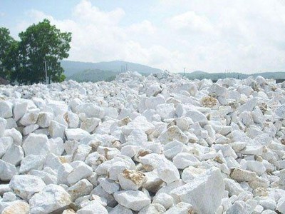 Đang có những quan điểm khác nhau giữa Tổng cục Hải quan và một số doanh nghiệp về xác định phân loại mặt hàng đá vôi