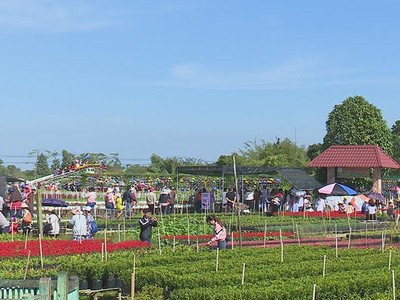 Du khách tham quan Làng hoa Sa Đéc.