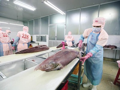 Khái niệm “sơ chế” và “chế biến” cần được làm rõ để phù hợp với thực tế thị trường và theo kịp các công nghệ chế biến hiện đại