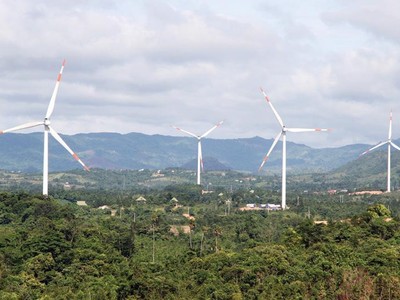 Quảng Trị quy hoạch cánh đồng điện gió khoảng 30 ha 