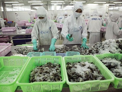 Xuất khẩu ngay trong tháng đầu năm đã có dấu hiệu tích cực. Trong ảnh: dây chuyền chế biến tôm xuất khẩu của Thủy sản Sao Ta