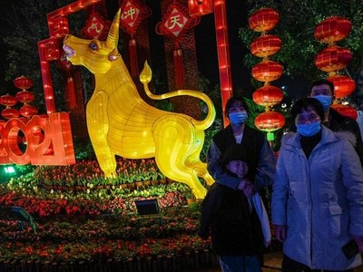 Một gia đình trang chụp ảnh bên cạnh hình tượng con trâu ở thành phố Vũ Hán, Trung Quốc vào ngày 10/2/2021. Ảnh: AFP