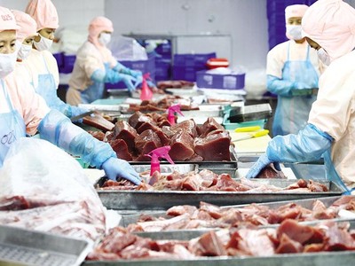 VASEP đề nghị bỏ các sản phẩm thủy sản (trừ sản phẩm sống, tươi sống, ướp lạnh) khỏi danh mục động vật, sản phẩm động vật thủy sản thuộc diện phải kiểm dịch 