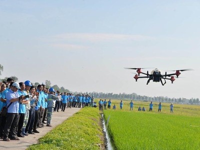 Lợi nhuận gộp mảng mới của Lộc Trời chỉ mang về 3 tỷ đồng