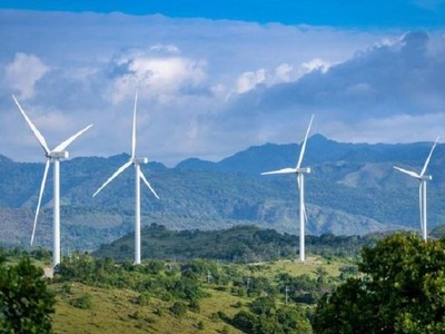 4.000 MW điện gió có nguy cơ không được hưởng giá ưu đãi