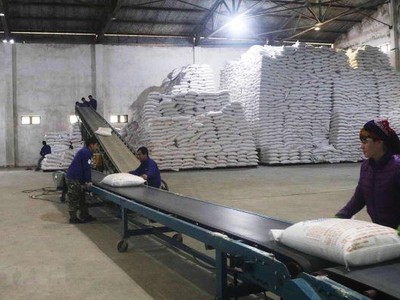 Bộ Công Thương ra thông báo tiếp nhận hồ sơ đề nghị miễn trừ áp dụng biện pháp chống bán phá giá và chống trợ cấp tạm thời đối với một số sản phẩm đường mía.