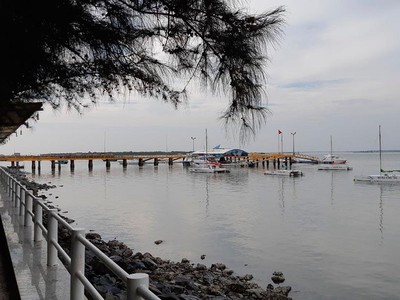 Chính phủ yêu cầu làm rõ bức xúc của chủ đầu tư vịnh Marina