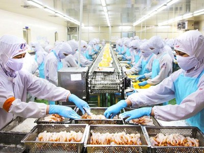 Doanh nghiệp đang không đoán định được việc thực hiện hậu kiểm như thế nào, khiến hoạt động kinh doanh rơi vào thế bị kiểm tra bất cứ lúc nào và không biết sẽ có rủi ro gì xảy ra sau đó.