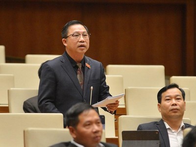 Đại biểu Lưu Bình Nhưỡng (Bến Tre) phát biểu tại Quốc hội. 