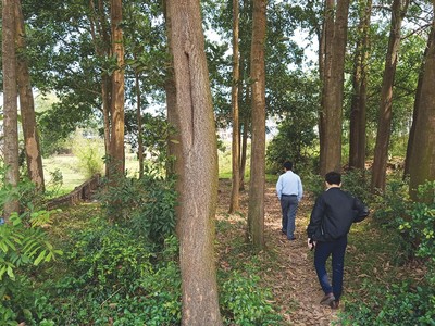 "Cò" dẫn khách đi xem đất tại Đội Phe, Đồng Chúc, Hòa Lạc. Ảnh: Dũng Minh