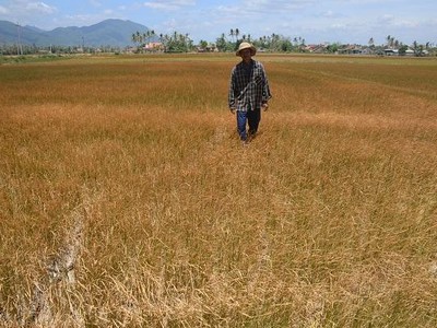 Phú Yên: Đề xuất hỗ trợ 1.900 tỷ đồng khắc phục hậu quả thiên tai