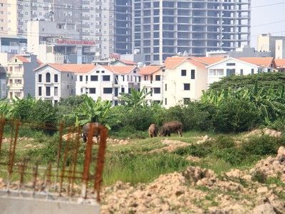 Đất nền đang sốt nóng ở nhiều địa phương. Ảnh: Thành Nguyễn