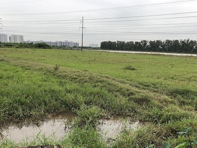 Dự án Khu giáo dục Nguyễn Trãi đã đằng đẵng treo 15 năm qua. Trong ảnh: Hiện trạng một góc khu đất Dự án