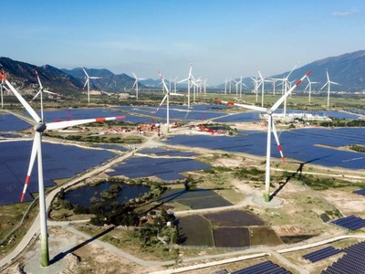 Khánh thành Nhà máy điện gió lớn nhất Việt Nam