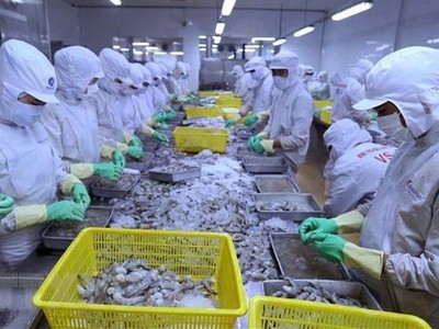 Năm 2020, thương mại Việt Nam - Canada đạt 5,1 tỷ USD, tăng 6,6% so với năm trước; trong đó giày dép, thủy sản, đồ gỗ là các mặt hàng xuất khẩu chủ lực của Việt Nam.