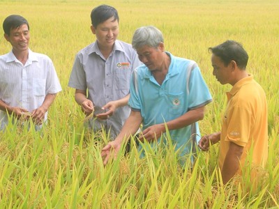 Nông dân tại An Giang trao đổi với "Lực lượng 3 cùng" của Lộc Trời (Ảnh: Hồng Phúc).